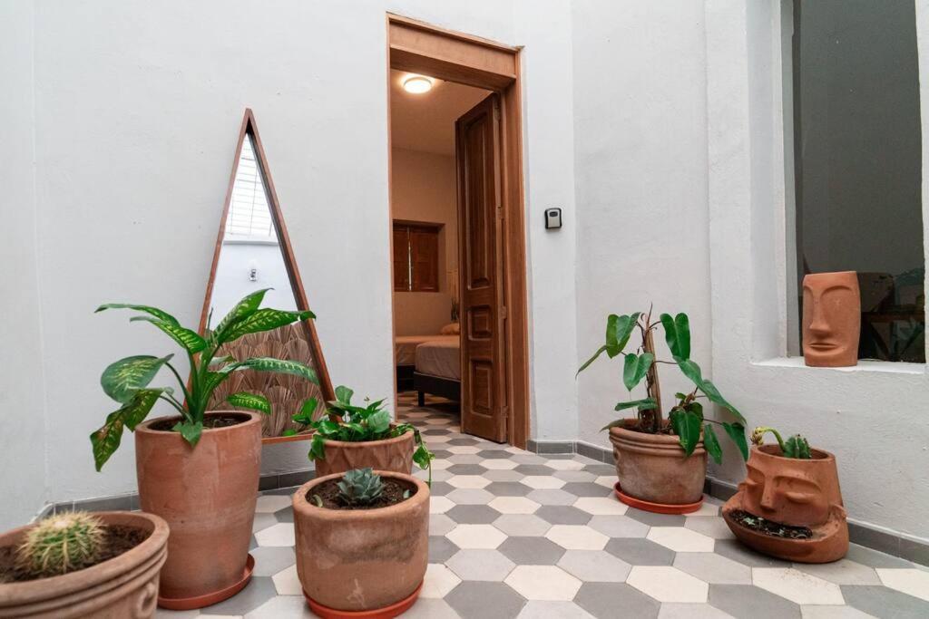 Casa Del Desierto Villa Guadalajara Eksteriør bilde