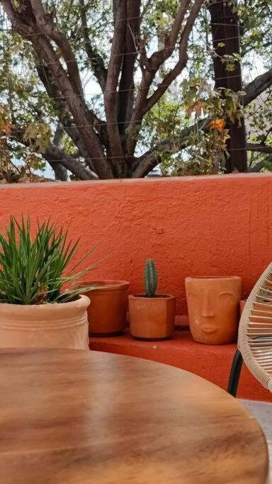 Casa Del Desierto Villa Guadalajara Eksteriør bilde